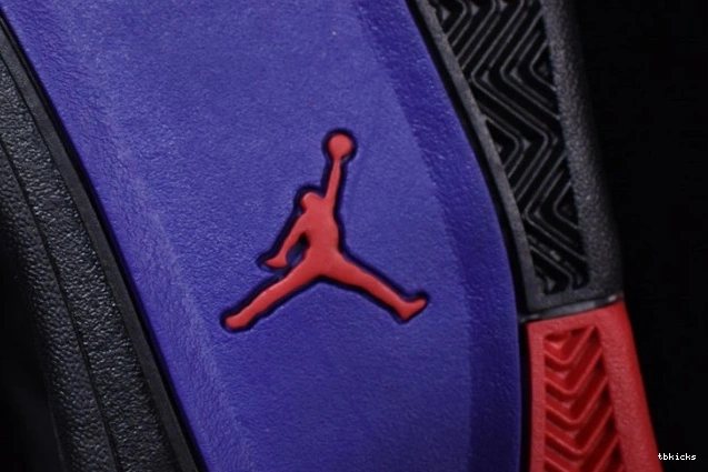 Reps TB Jordan Raptors